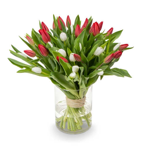 Bouquet of red tulips
